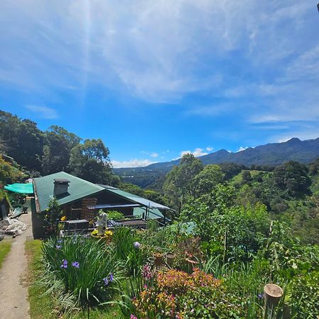 Eco Horqueta Bed & Breakfast Boquete Eksteriør bilde