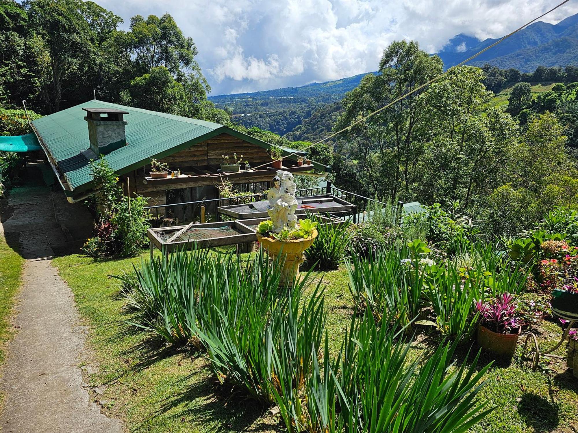 Eco Horqueta Bed & Breakfast Boquete Eksteriør bilde