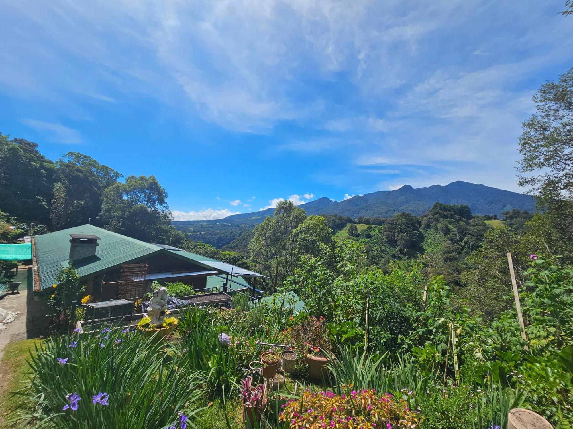 Eco Horqueta Bed & Breakfast Boquete Eksteriør bilde