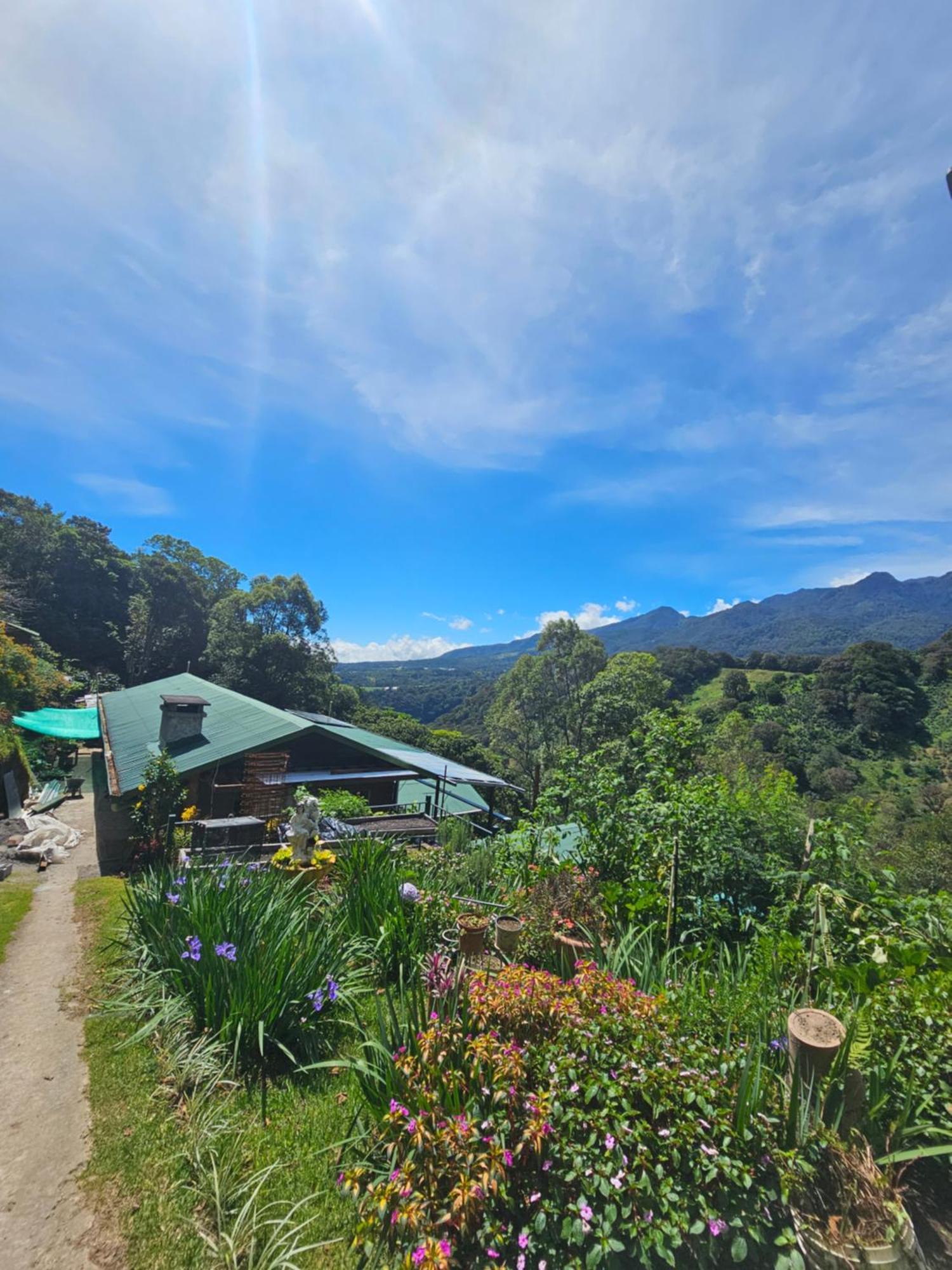 Eco Horqueta Bed & Breakfast Boquete Eksteriør bilde