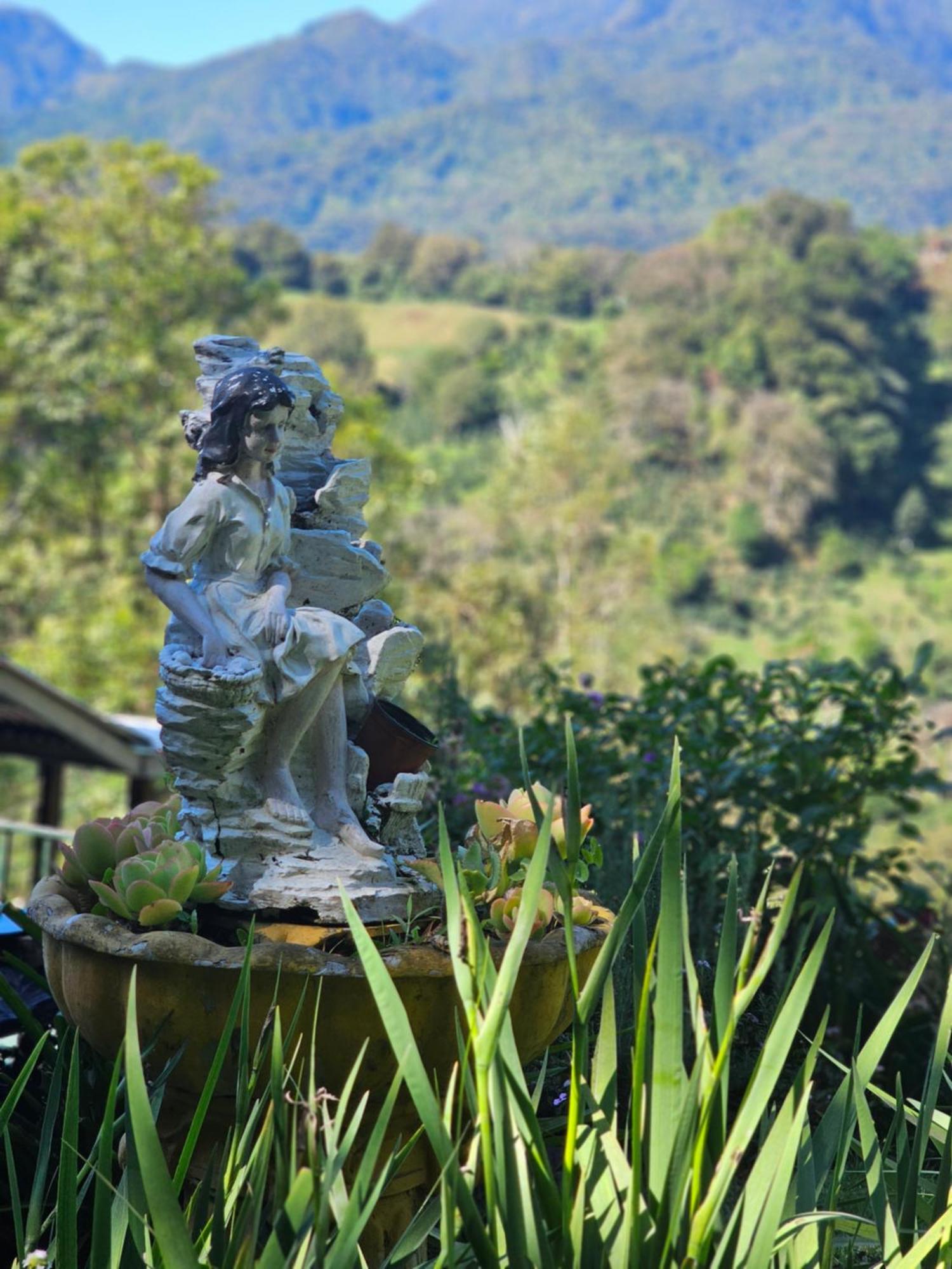 Eco Horqueta Bed & Breakfast Boquete Eksteriør bilde