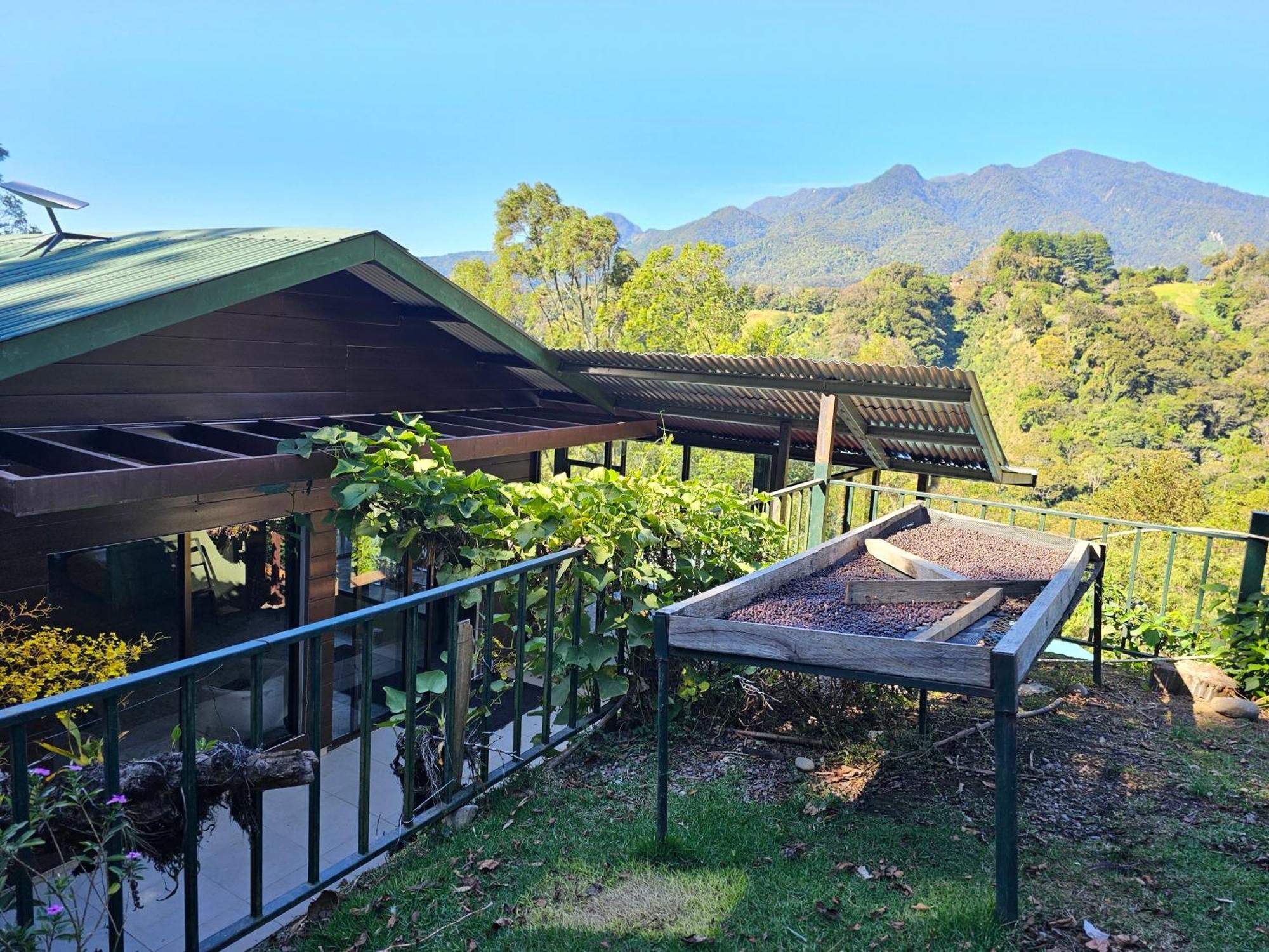 Eco Horqueta Bed & Breakfast Boquete Eksteriør bilde