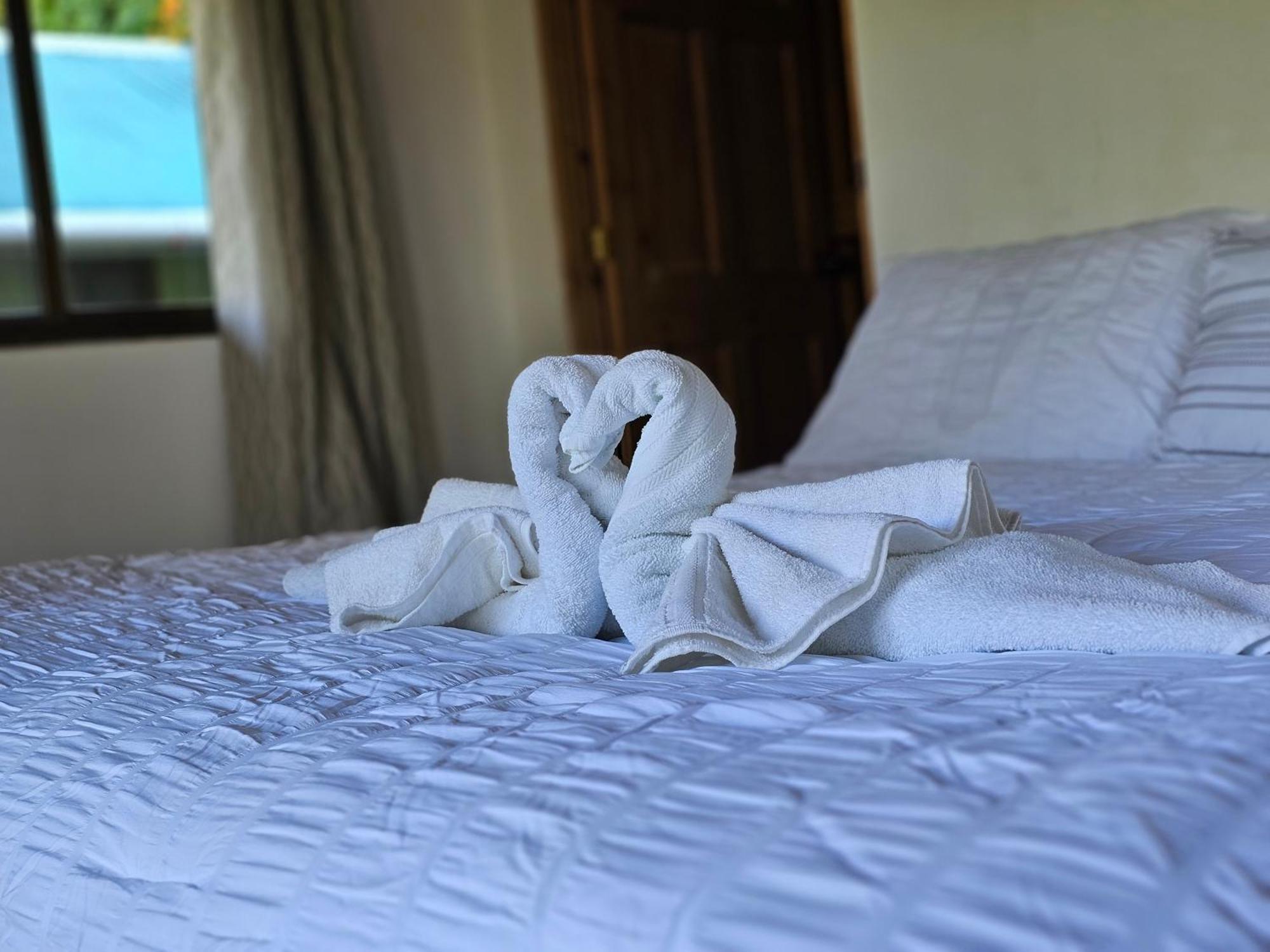 Eco Horqueta Bed & Breakfast Boquete Eksteriør bilde